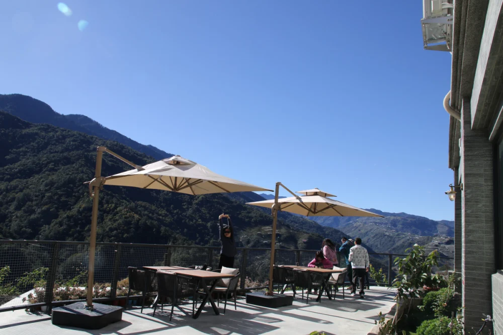 賞雪景不必遠赴海外 來梨山感受雪國般冬景