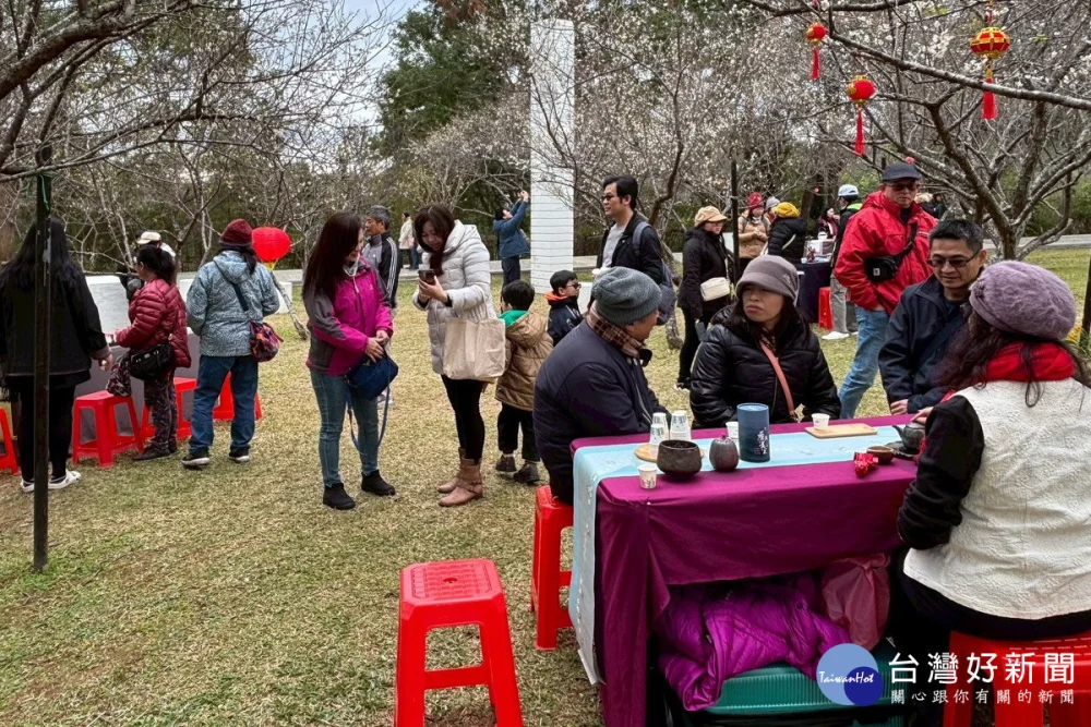 :白色浪漫襲捲北橫,「2026角板山梅花季」1/17起盛大登場。(2025年活動照片)