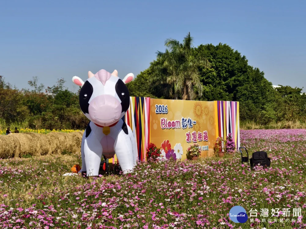 拍爆了！彰化8公頃花海盛開，1/17限定拔蘿蔔、逛市集。圖／記者鄧富珍攝