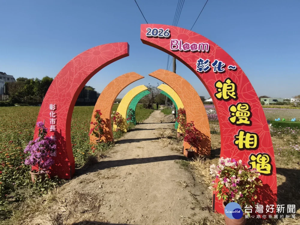 拍爆了！彰化8公頃花海盛開，1/17限定拔蘿蔔、逛市集。圖／記者鄧富珍攝