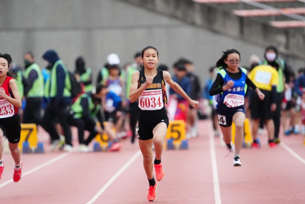 竹縣中小學聯合運動會圓滿落幕 田徑場捷報頻傳