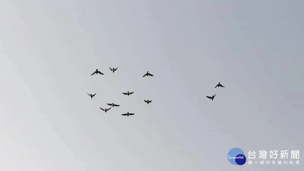周二起東北季風接力報到！北台轉涼降雨增　週三低溫探11度