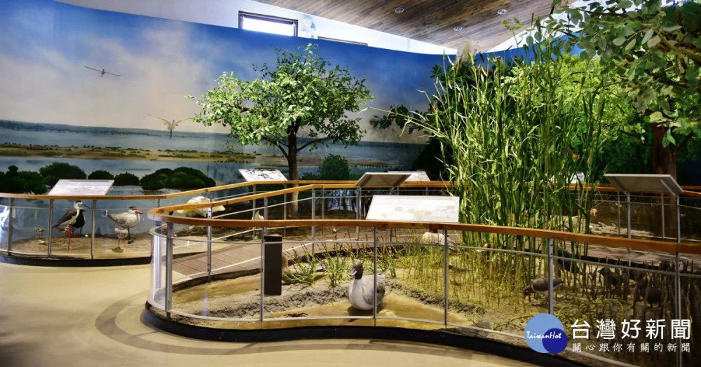 台江國家公園遊客中心常設展區 推AI語音導覽服務