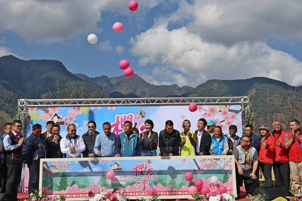 最美茶鄉櫻花季登場 信義草坪頭4000棵櫻花迎賓