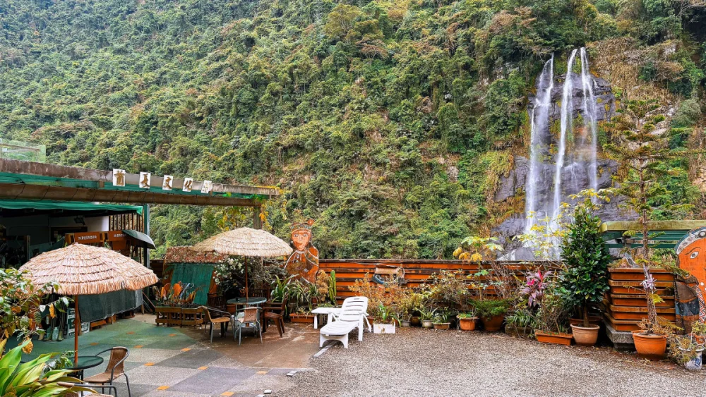 新北春節好時光 揮毫送福賀馬年