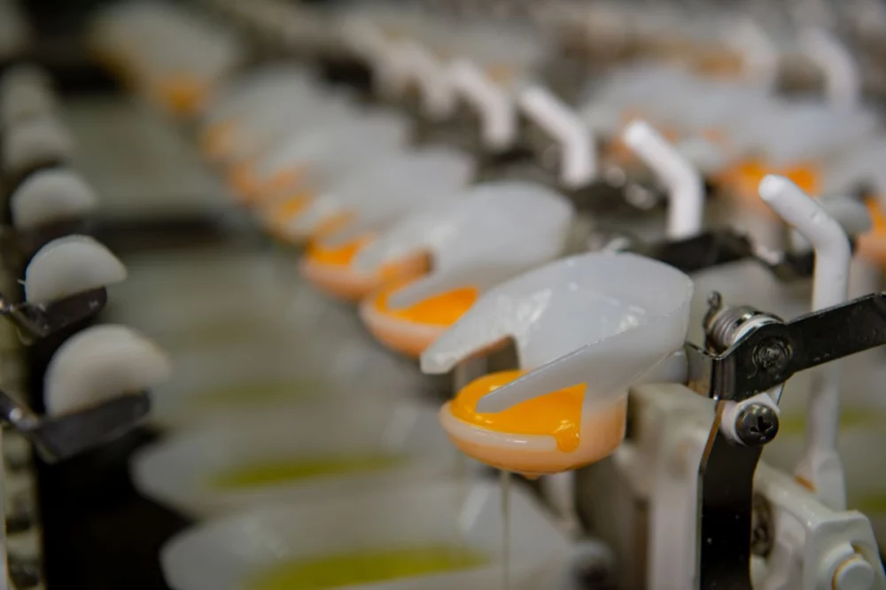 圖／勤億蛋品表示，2026 年第一季的 B2B 市場詢問度明顯反映出此缺工焦慮，越來越多大型食品廠尋求「開封即用」的解決方案，將有限的人力資源集中在核心生產環節。（勤億蛋品 提供）