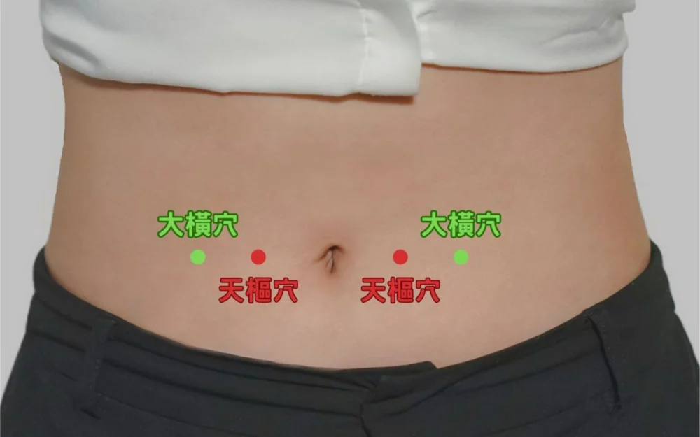 圖/雙手握拳,輕敲肚臍兩側約三指寬處的天樞穴,及天樞外側三指寬處的大橫穴,持續3至5分鐘,可協助調理腸胃蠕動。(台北慈濟醫院提供)