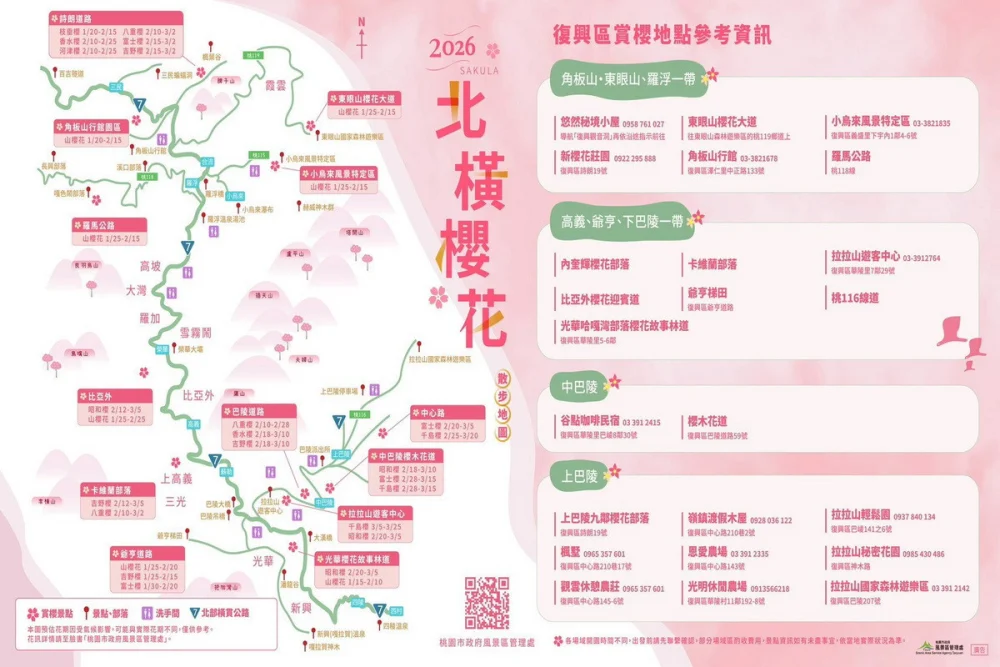 跟著賞櫻地圖慢遊北橫　粉色花海一路綻放至3月底