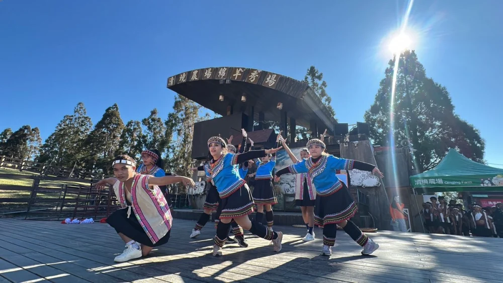 清境農場馬年奔羊拜早年　騎馬賞櫻幸福「羊」溢