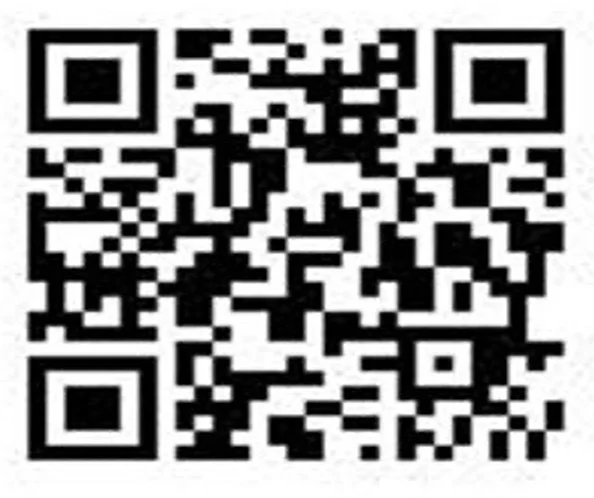 春節9日連假　嘉市警加強交通疏導