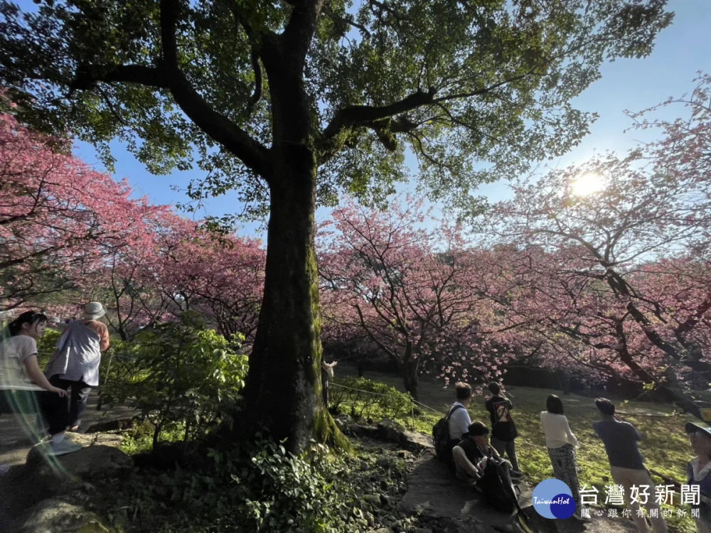 除夕變天！北台轉濕涼　初一、二北東部有雨
