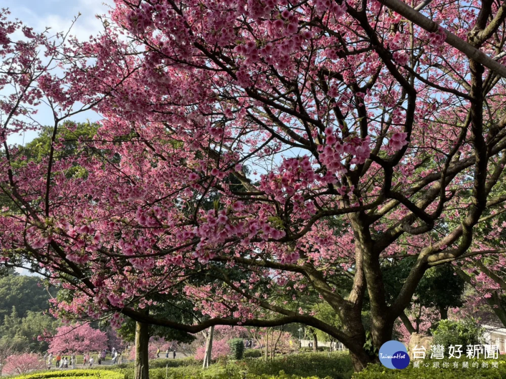 除夕變天!北部、東部轉雨 初三轉晴逐日暖