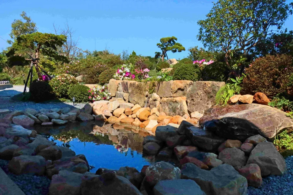 萬金杜鵑賞花新景點　大鵬足湯公園「滿山園」新春登場