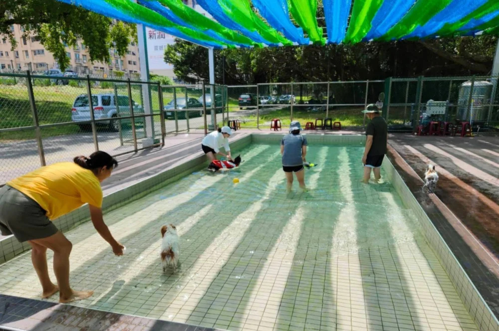 桃園山海湖漫旅　友善寵物放電地圖報你知