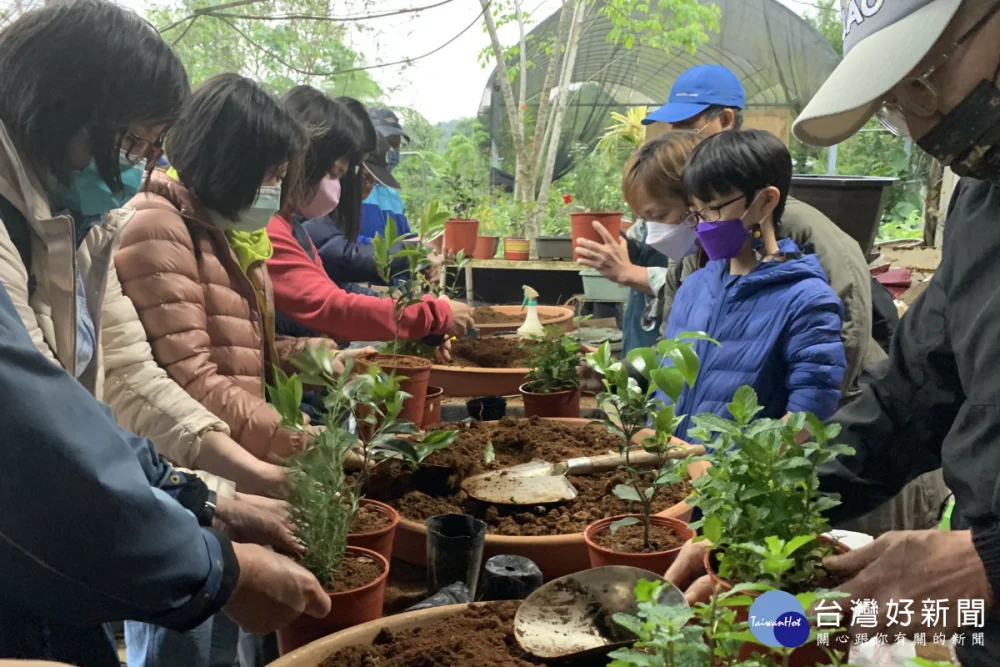 新北商圈年節不打烊　吃美食、逛好店、討個好兆頭