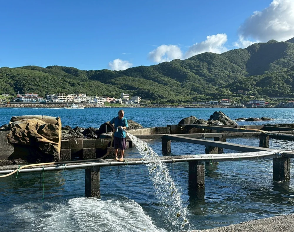 春遊東北角賞美景　品嚐當地美味貢寮鮑「正逢時」