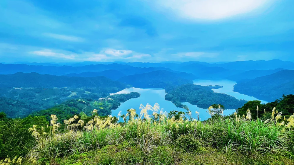 鱷魚島觀景台視角