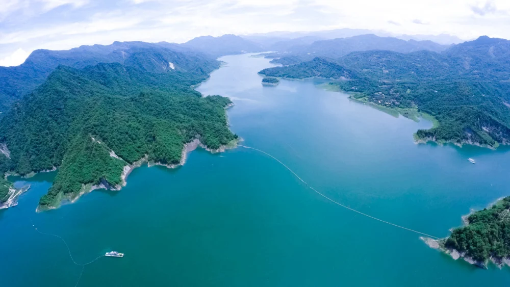 2026台灣燈會在嘉義　賞燈吃遊攻略一次看