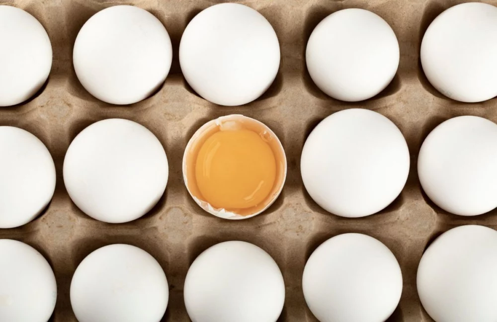 示意圖／擷取自免費圖庫freepik