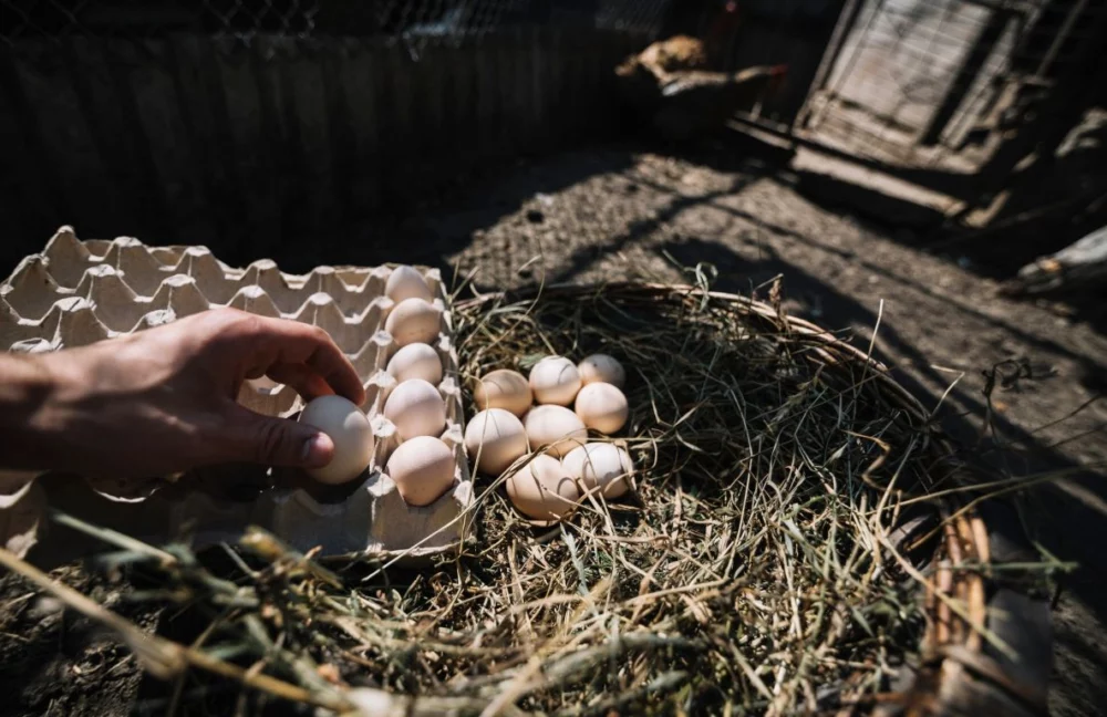 示意圖／擷取自免費圖庫freepik