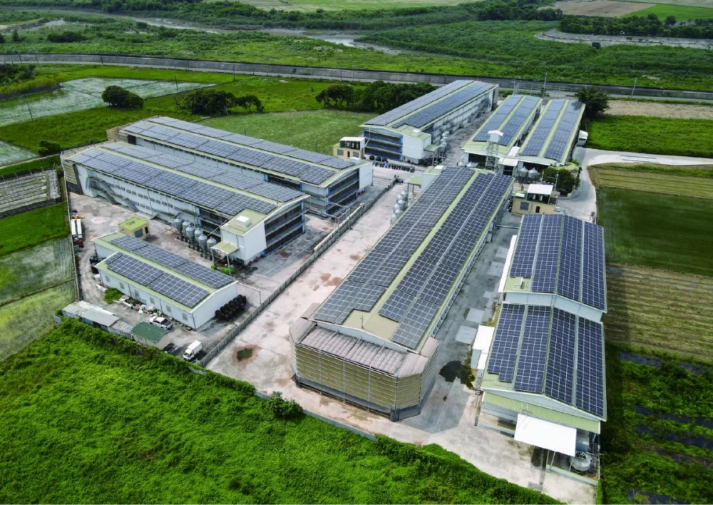 圖／勤億的科技化綠能牧場具備嚴密防疫系統，是進軍東京食品展、挑戰極致食安的最強後盾。（勤億蛋品 提供）