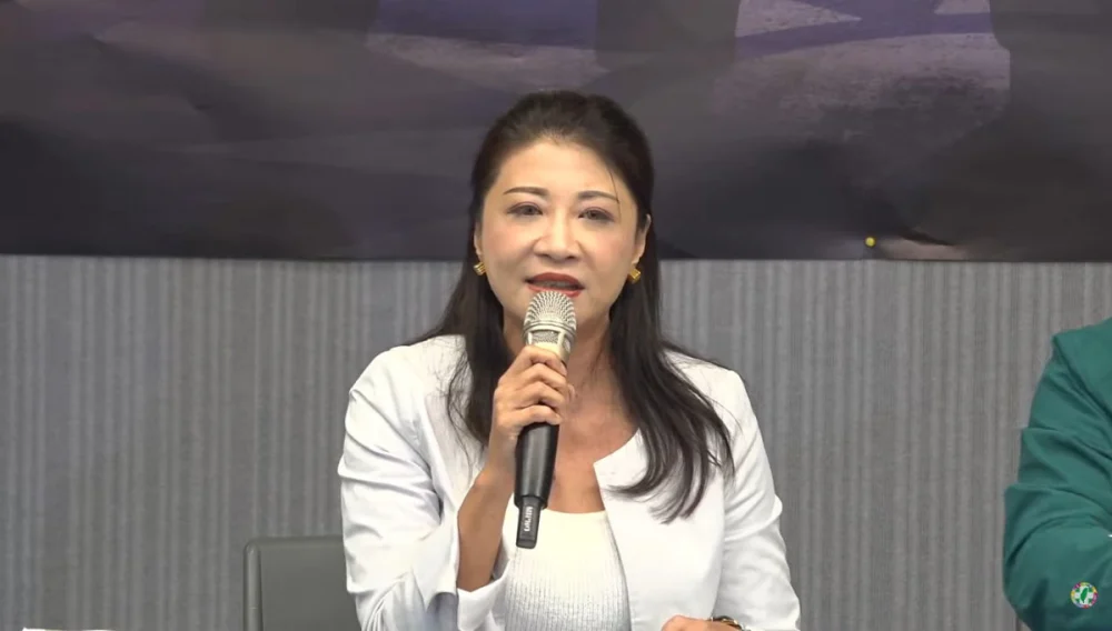 民主進步黨發言人林楚茵。（圖／資料照片，圖源：翻攝自民主進步黨YouTube直播）
