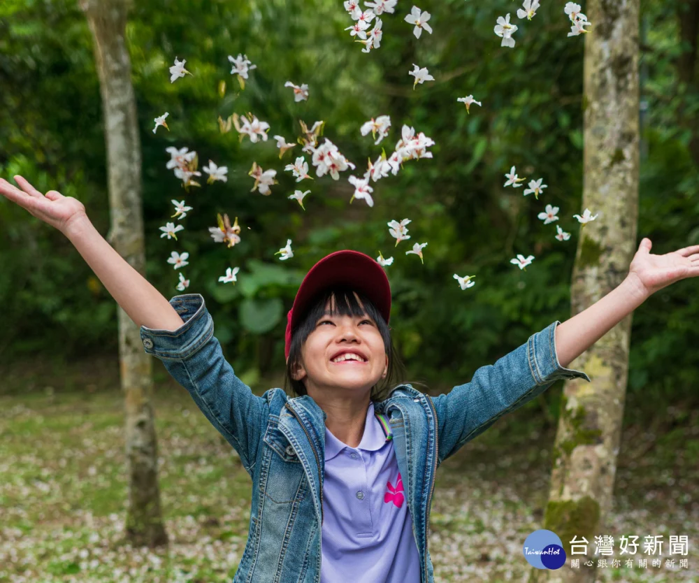 2026新北客家桐花祭　邀民眾賞桐感受春日魅力