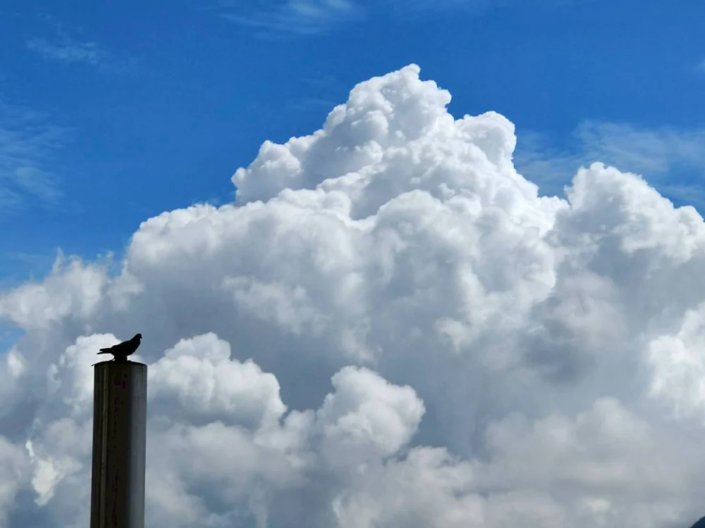 各地晴熱如夏 明起鋒面兩段式襲台