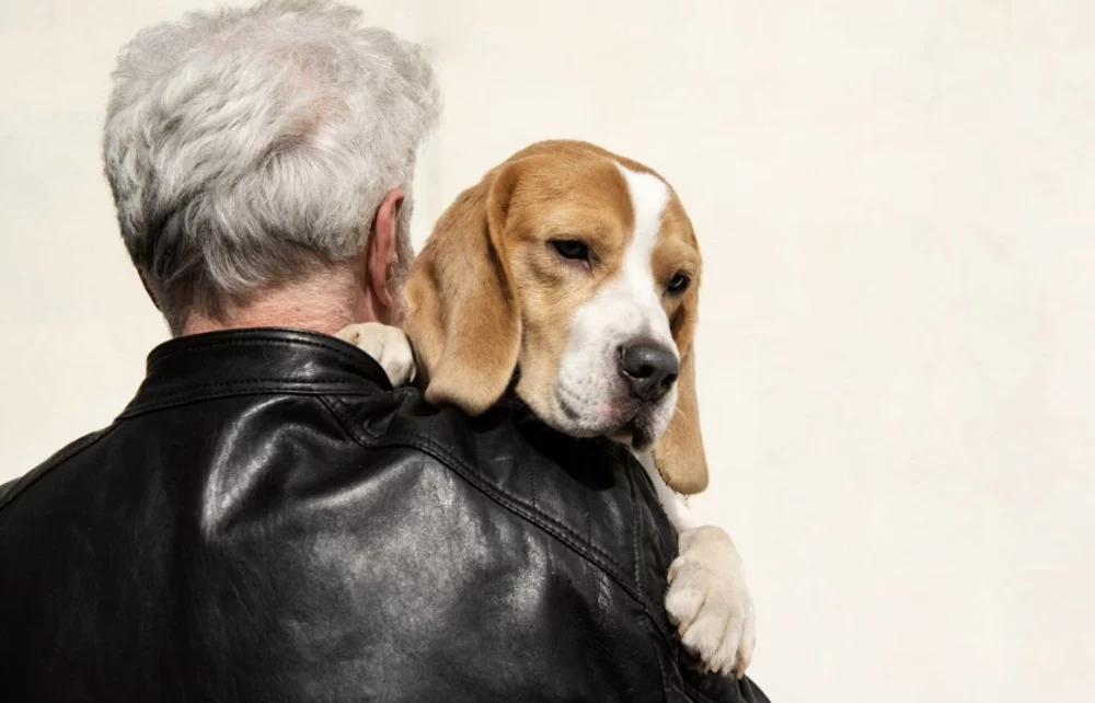 助攻B2B產線高效升級！勤億推生技原料搶攻銀髮與寵物商機