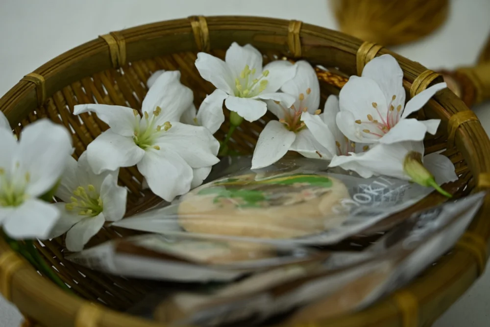 彰化桐花祭4/18登場，八卦山5大賞桐秘境、15場活動接力迎客。圖／彰化縣政府提供