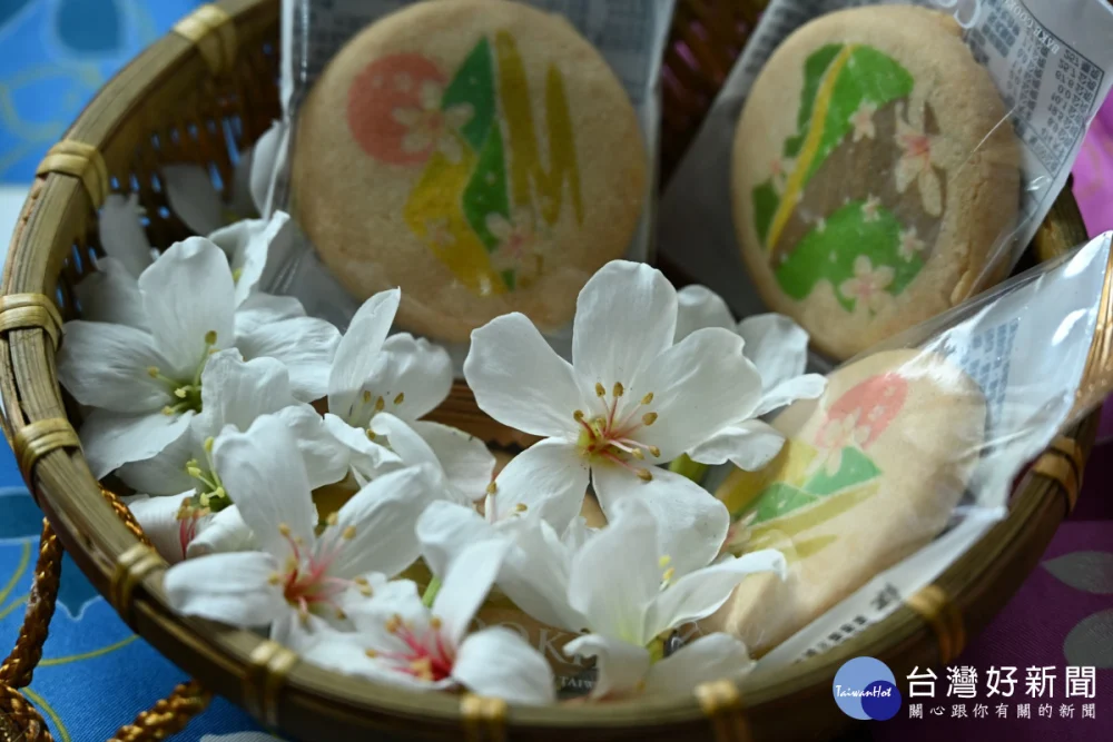 彰化桐花祭4/18登場，八卦山5大賞桐秘境、15場活動接力迎客。圖／彰化縣政府提供