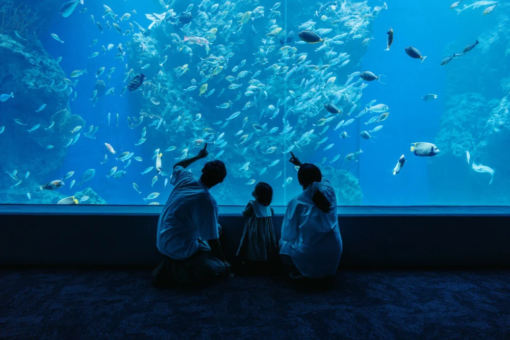 台中海洋館募集圖書 免費體驗海洋世界