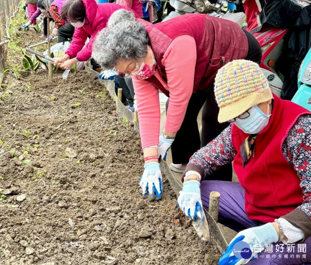 北榮桃園分院「長樂居」開心農場登場        綠意中種出健康與笑容