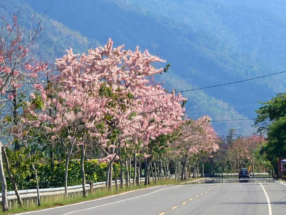 （圖／高雄市府工務局公園處）