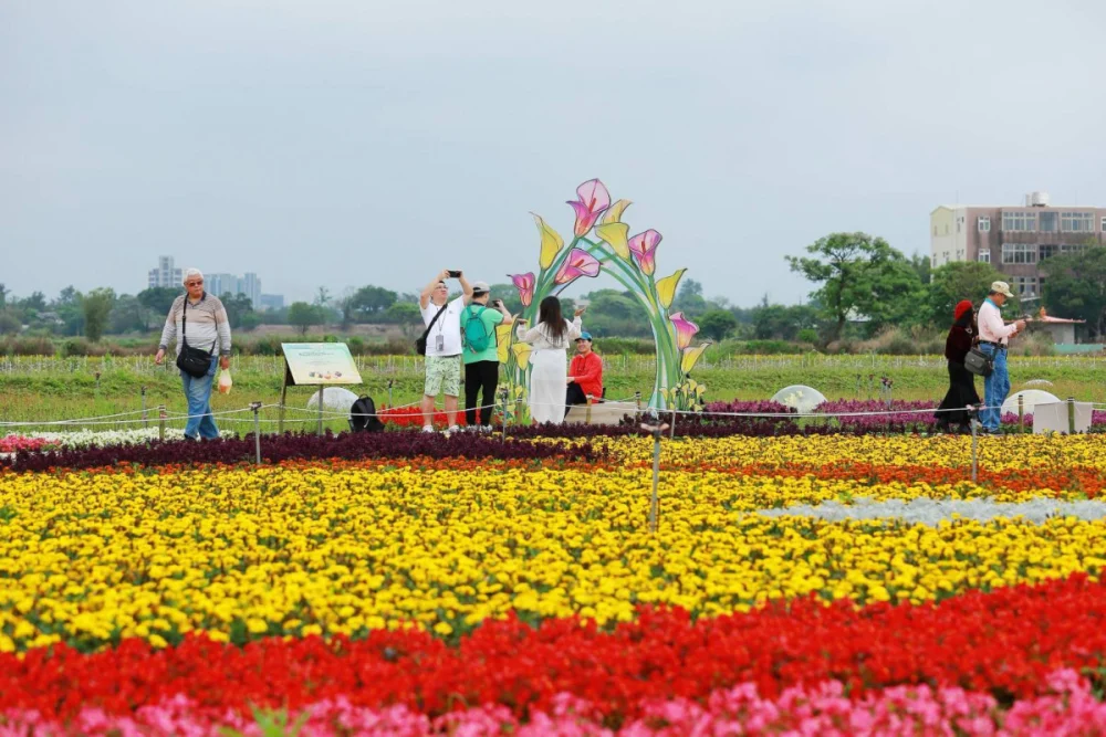 桃園市政府農業局主辦的「2026桃園彩色海芋季」圓滿落幕。