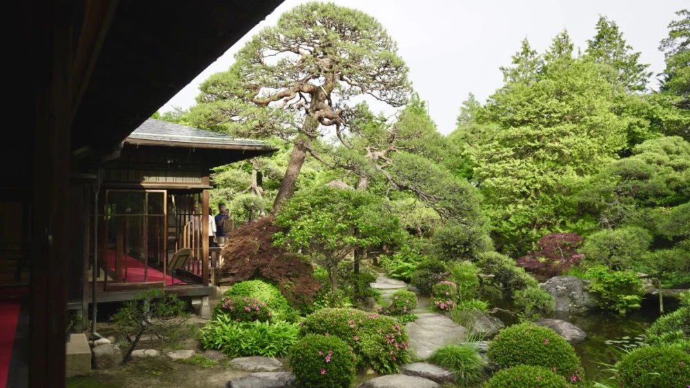 圖／漫步在山本亭，彷彿置身於「大正浪漫」的經典場景中。（葛飾區 山本亭 提供）