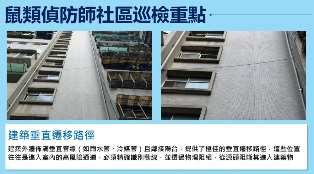 （圖／台北市府環保局水質病媒管制科）