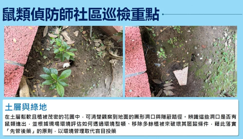 （圖／台北市府環保局水質病媒管制科）
