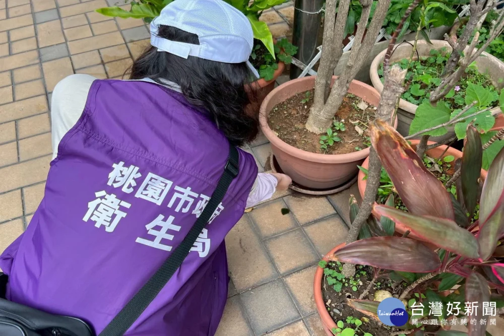 防範登革熱，桃市府衛生局呼籲市民落實「巡、倒、清、刷」，定期巡檢住家內外環境。