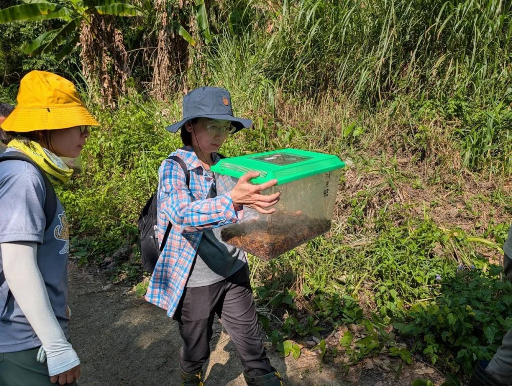於魚池鄉展開拓殖野放行動。(林業及自然保育署南投分署提供)