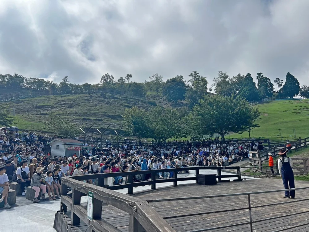 端午連續假期首日天候穩定、視野良好，清境農場園區湧入大量遊客。（清境農場提供）